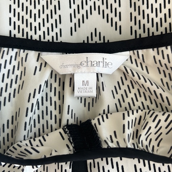Charming Charlie Medium Cream/Black Spaghetti Strap Sheer Blouse - Picture 11 of 12